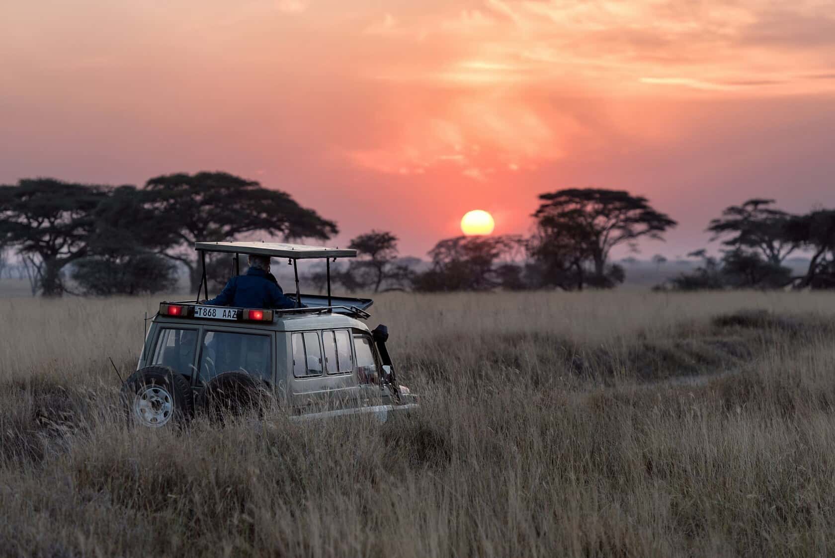 A safari vehicle in the savanna at dawn