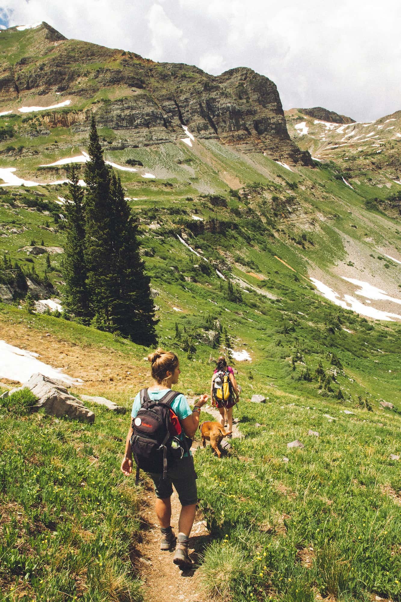 A rope of trekkers on a high green trail