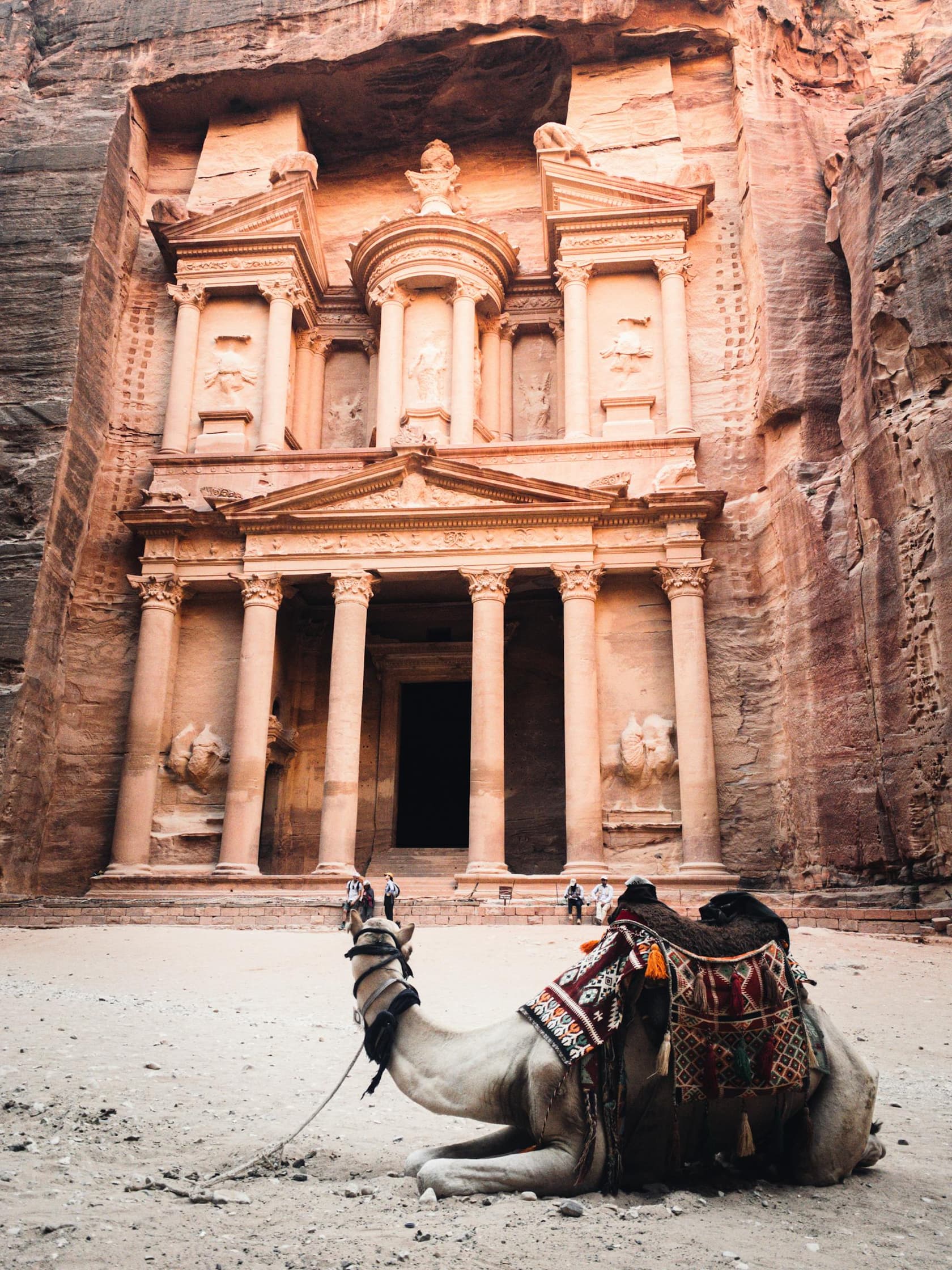 The Treasury at Petra with a camel resting nearby