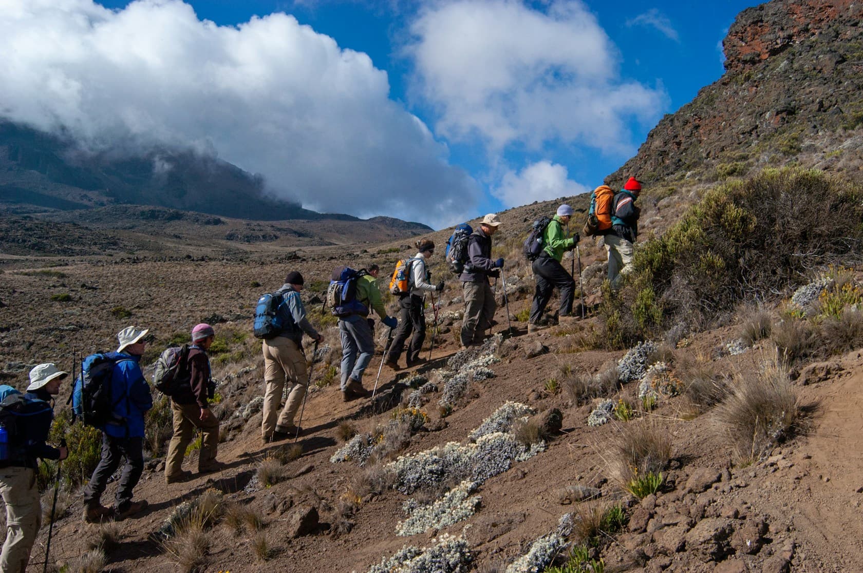 A trekking group strung out along a high Kilimanjaro trail